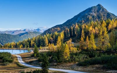 3 Best Places To See Fall Foliage When Out on the Road